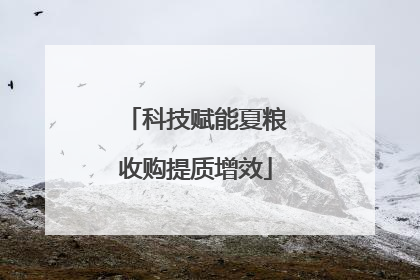 科技赋能夏粮收购提质增效