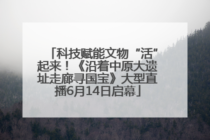 科技赋能文物“活”起来！《沿着中原大遗址走廊寻国宝》大型直播6月14日启幕