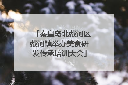 秦皇岛北戴河区戴河镇举办美食研发传承培训大会