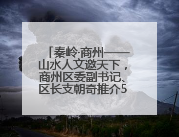 秦岭·商州——山水人文邀天下，商州区委副书记、区长支朝奇推介5个重点招商项目