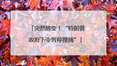 突然转变！“特朗普政府下令暂停搜捕”