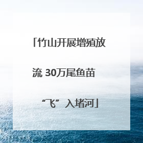 竹山开展增殖放流 30万尾鱼苗“飞”入堵河