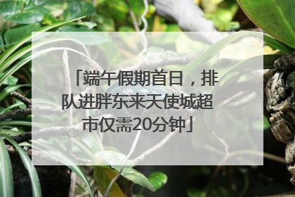 端午假期首日，排队进胖东来天使城超市仅需20分钟