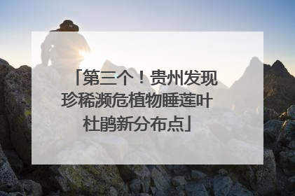 第三个！贵州发现珍稀濒危植物睡莲叶杜鹃新分布点