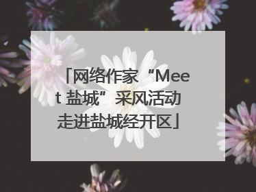 网络作家“Meet 盐城”采风活动走进盐城经开区