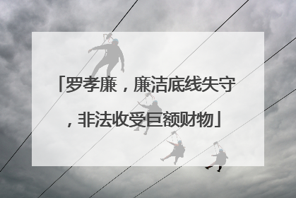 罗孝廉，廉洁底线失守，非法收受巨额财物