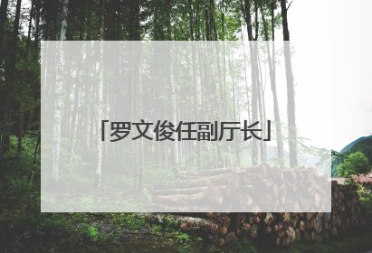罗文俊任副厅长