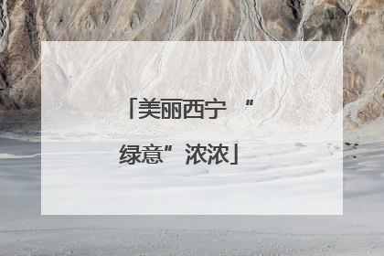 美丽西宁 “绿意”浓浓