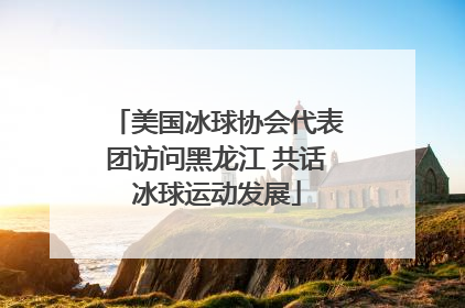 美国冰球协会代表团访问黑龙江 共话冰球运动发展