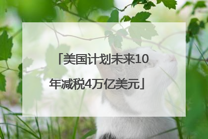 美国计划未来10年减税4万亿美元
