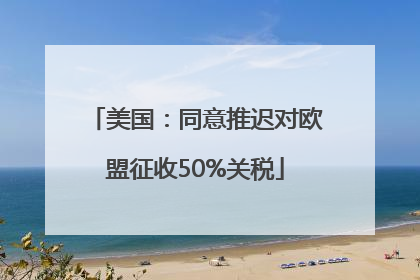 美国：同意推迟对欧盟征收50%关税