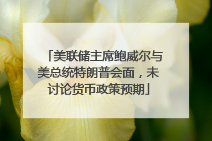 美联储主席鲍威尔与美总统特朗普会面，未讨论货币政策预期