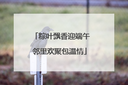 粽叶飘香迎端午 邻里欢聚包温情