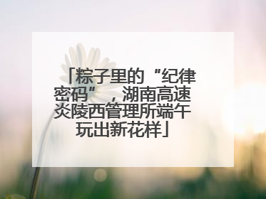 粽子里的“纪律密码”，湖南高速炎陵西管理所端午玩出新花样