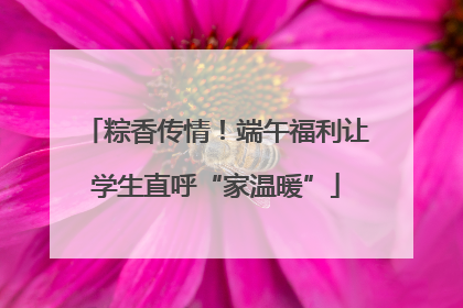 粽香传情！端午福利让学生直呼“家温暖”