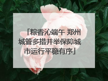 粽香沁端午 郑州城管多措并举保障城市运行平稳有序