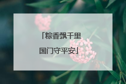粽香飘千里 国门守平安