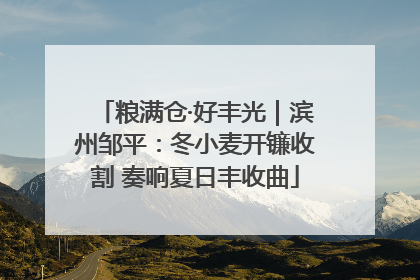 粮满仓·好丰光｜滨州邹平：冬小麦开镰收割 奏响夏日丰收曲