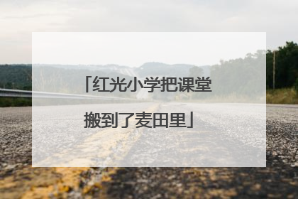红光小学把课堂搬到了麦田里