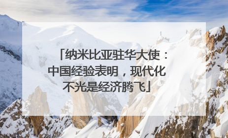 纳米比亚驻华大使：中国经验表明，现代化不光是经济腾飞