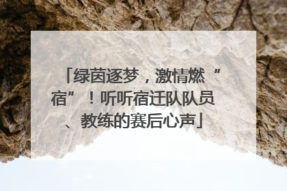 绿茵逐梦，激情燃“宿”！听听宿迁队队员、教练的赛后心声