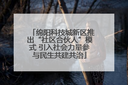 绵阳科技城新区推出“社区合伙人”模式 引入社会力量参与民生共建共治