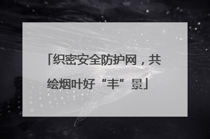 织密安全防护网，共绘烟叶好“丰”景