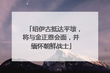 绍伊古抵达平壤，将与金正恩会面，并缅怀朝鲜战士