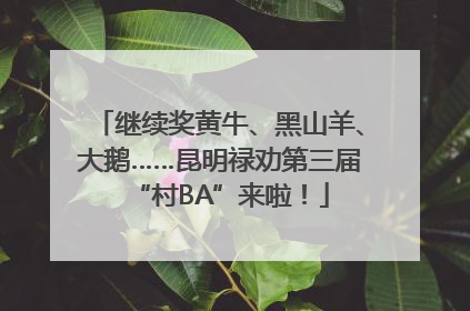 继续奖黄牛、黑山羊、大鹅……昆明禄劝第三届“村BA”来啦！