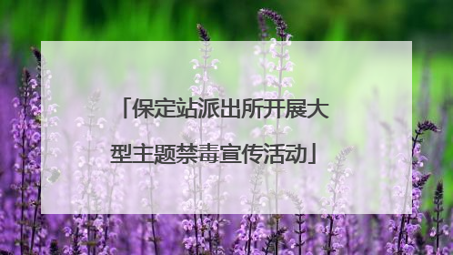 保定站派出所开展大型主题禁毒宣传活动