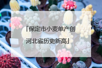 保定市小麦单产创河北省历史新高