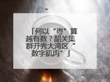 何以“粤”算越有数？韶关集群开秀大湾区“数字肌肉”