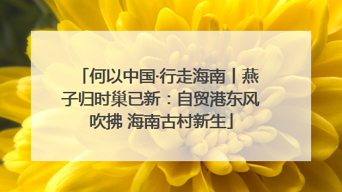 何以中国·行走海南丨燕子归时巢已新：自贸港东风吹拂 海南古村新生
