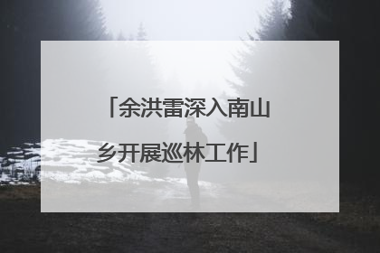 余洪雷深入南山乡开展巡林工作