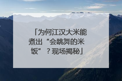 为何江汉大米能煮出“会跳舞的米饭”？现场揭秘