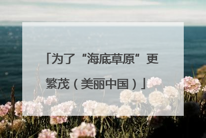 为了“海底草原”更繁茂（美丽中国）