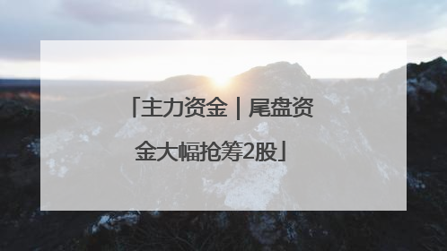 主力资金｜尾盘资金大幅抢筹2股