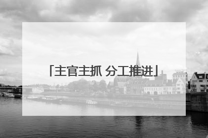 主官主抓 分工推进