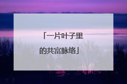 一片叶子里的共富脉络