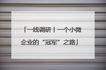 一线调研丨一个小微企业的“冠军”之路