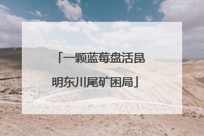 一颗蓝莓盘活昆明东川尾矿困局