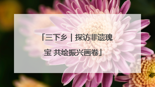 三下乡｜探访非遗瑰宝 共绘振兴画卷