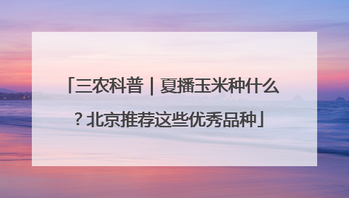 三农科普｜夏播玉米种什么？北京推荐这些优秀品种