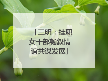 三明：挂职女干部畅叙情谊共谋发展