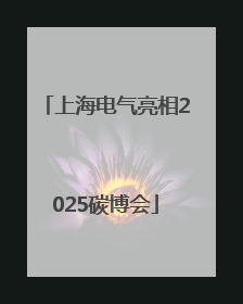 上海电气亮相2025碳博会