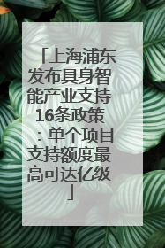 上海浦东发布具身智能产业支持16条政策：单个项目支持额度最高可达亿级