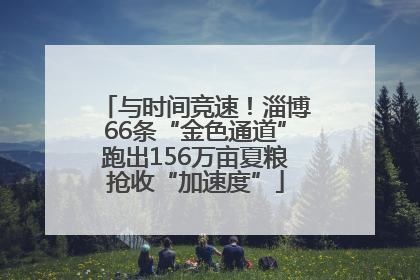 与时间竞速！淄博66条“金色通道”跑出156万亩夏粮抢收“加速度”