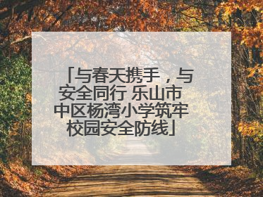 与春天携手，与安全同行 乐山市中区杨湾小学筑牢校园安全防线