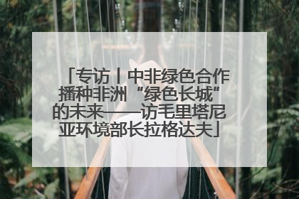 专访丨中非绿色合作播种非洲“绿色长城”的未来——访毛里塔尼亚环境部长拉格达夫