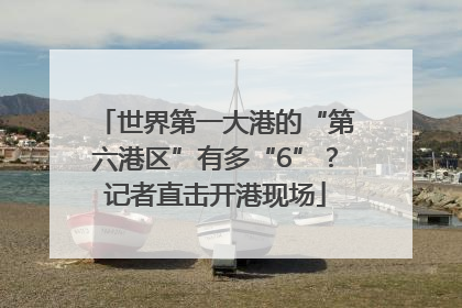 世界第一大港的“第六港区”有多“6”？记者直击开港现场